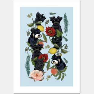 Botanical and Black Schnauzer Posters and Art